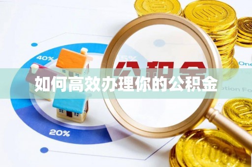 城关如何高效办理你的公积金