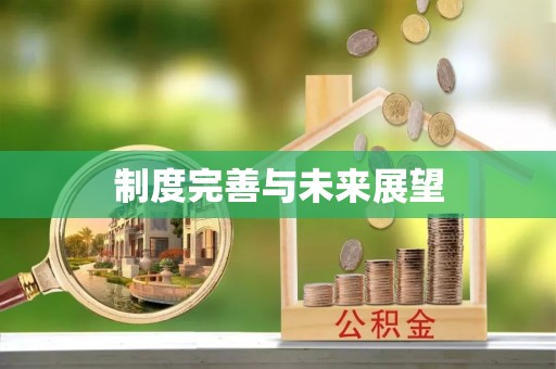 城关制度完善与未来展望