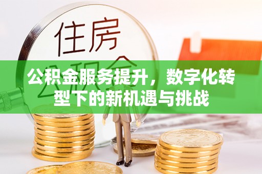 城关公积金服务提升，数字化转型下的新机遇与挑战