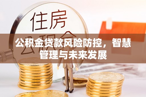 城关公积金贷款风险防控，智慧管理与未来发展