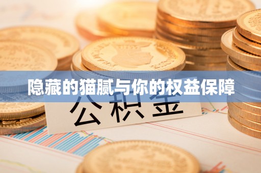 城关隐藏的猫腻与你的权益保障