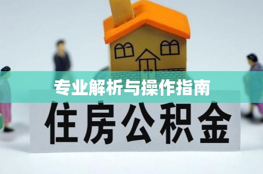 城关专业解析与操作指南