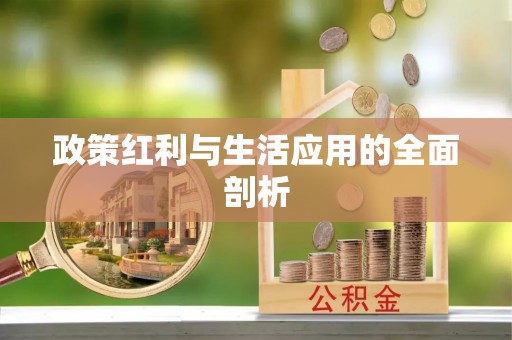 城关政策红利与生活应用的全面剖析