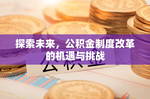 城关探索未来，公积金制度改革的机遇与挑战