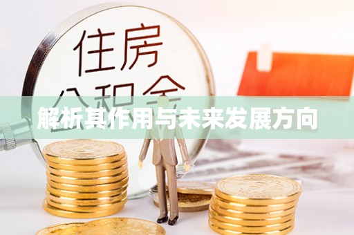 城关解析其作用与未来发展方向